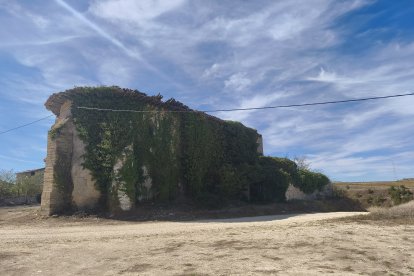 La vegetación invade el muro norte de la iglesia, donde está el cementerio.