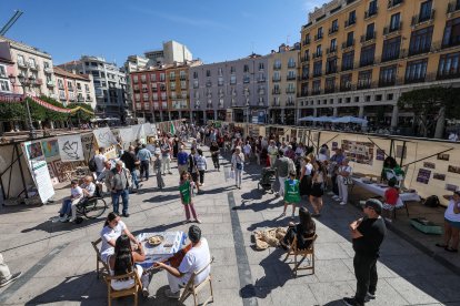 Imagen de las actividades realizadas durante este sábado en la Plaza Mayor con motivo del Día de la Solidaridad.