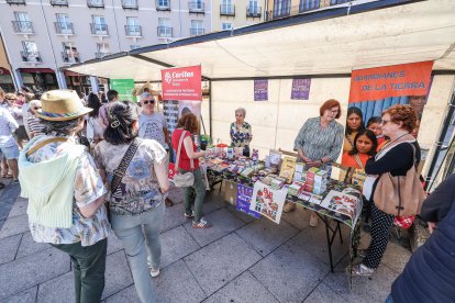 Imagen de las actividades realizadas por las ongs de cooperación al desarrollo de Burgos en la Plaza Mayor.