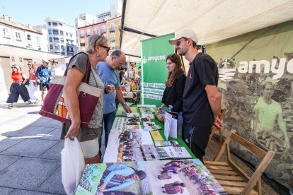 Imagen de las actividades realizadas por las ongs de cooperación al desarrollo de Burgos en la Plaza Mayor.