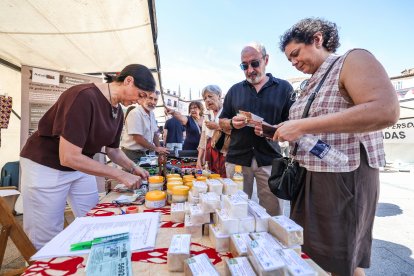 Imagen de las actividades realizadas por las ongs de cooperación al desarrollo de Burgos en la Plaza Mayor.