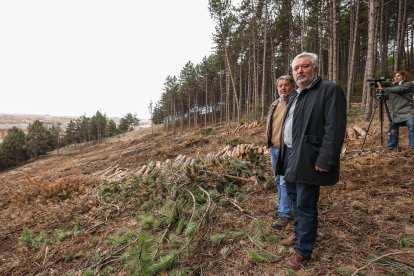 El concejal de Medio Ambiente, Carlos Niño, visitó la zona en la que trabaja Clece en la actualidad, con el responsable de la empresa, Pedro Renuncio.