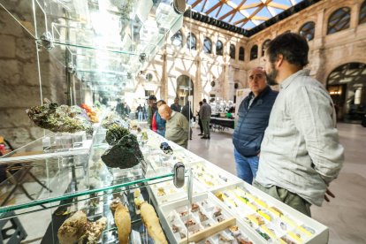 Incluso antes de la inauguración oficial de la feria ya había decenas de visitantes echando un vistazo al material.
