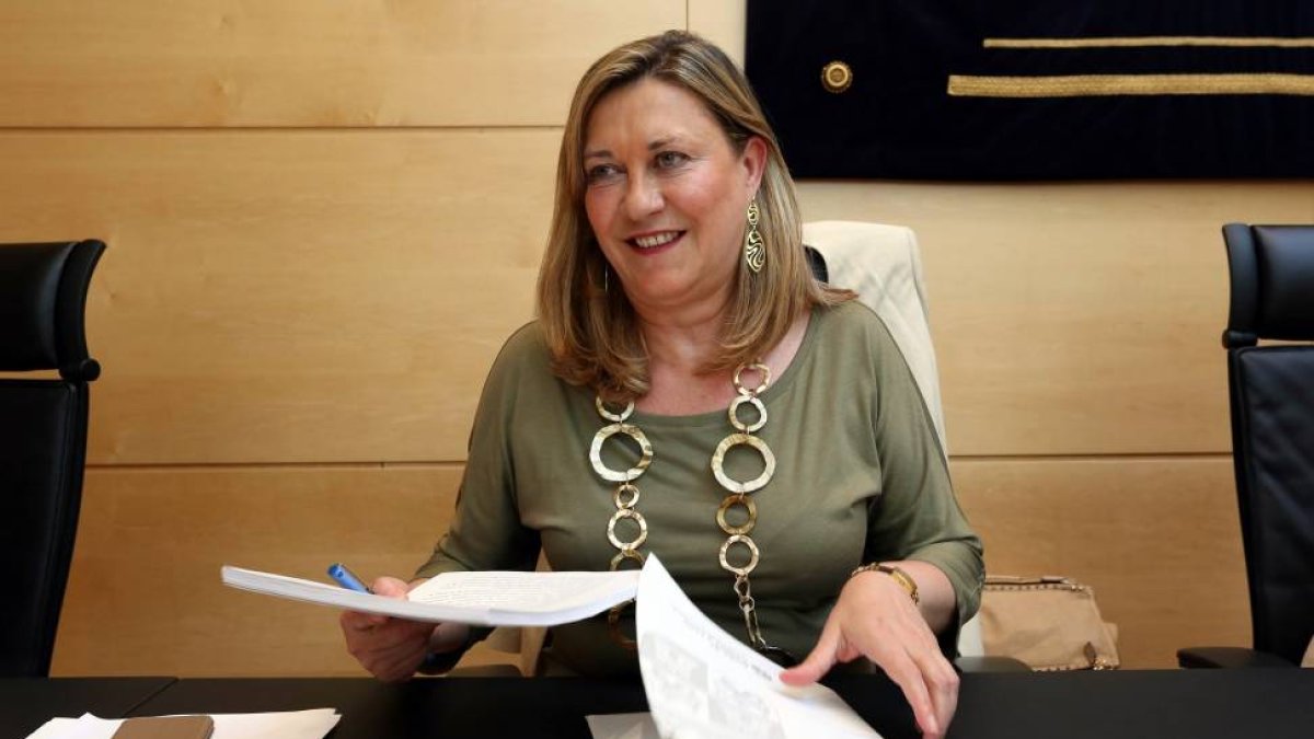 La consejera de Economía y Hacienda, Pilar del Olmo, comparece en las Cortes para explicar su programa de legislatura-Ical