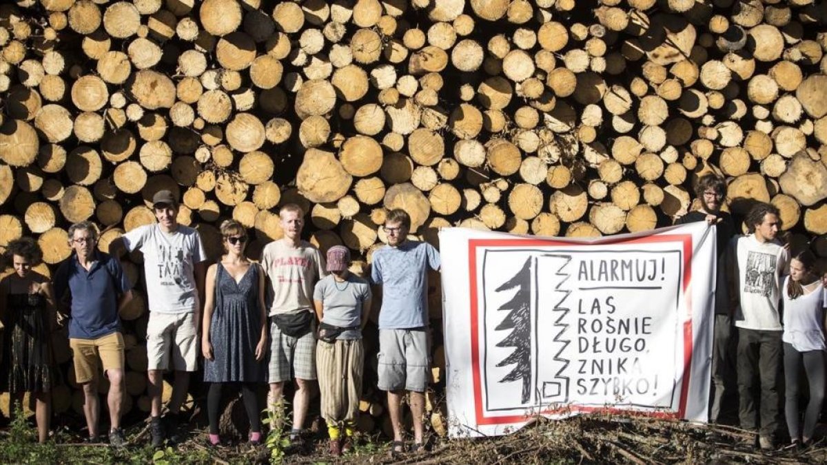 Protesta por la tala de árboles del bosque de Bialowieza el pasado mes de agosto.-/ GETTY IMAGES / MACIEJ LUCZNIEWSKI
