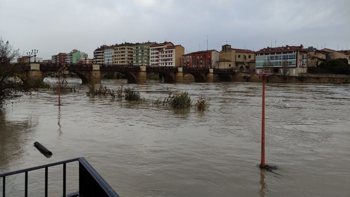 Río Ebro, en Miranda, tras desbordarse el día anterior. ECB