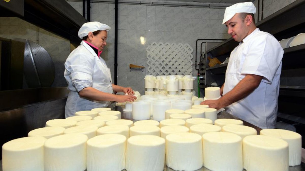 Los quesos siguen haciéndose a mano, con los métodos artesanales.-ÁLVARO MARTÍNEZ