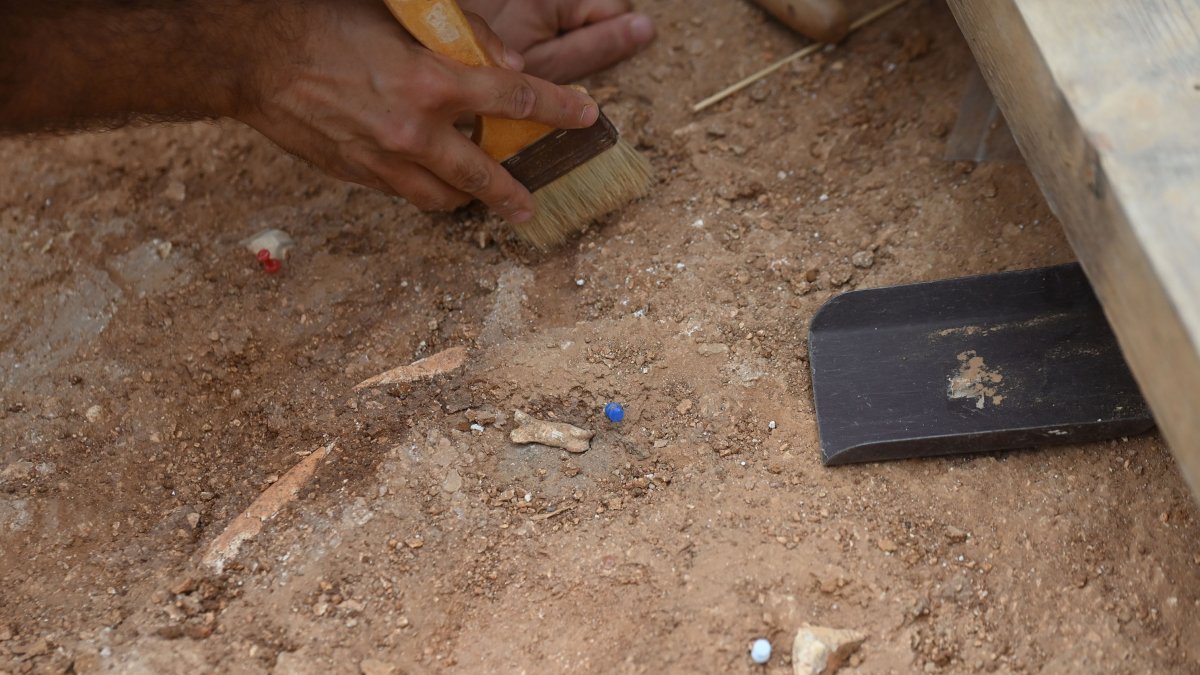 Los yacimientos de Atapuerca esconden fósiles únicos, el trabajo en el laboratorio extrae hasta el último gramo de información situando al equipo de investigación en la élite. SANTI OTERO