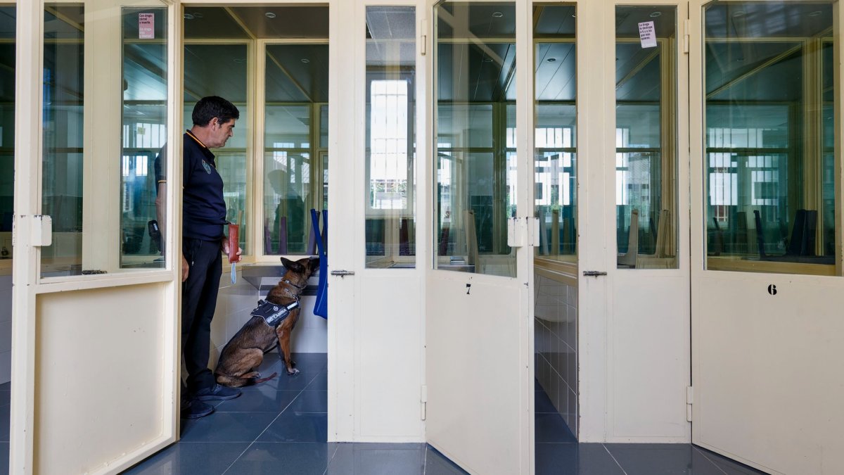 El funcionario Marcial Rubio y su perro inspeccionan los locutorios de la prisión. SANTI OTERO