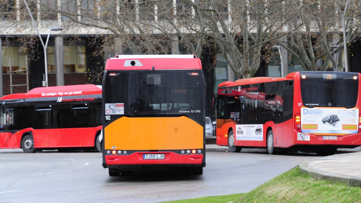 Autobuses urbanos circulan en la Plaza España. ECB