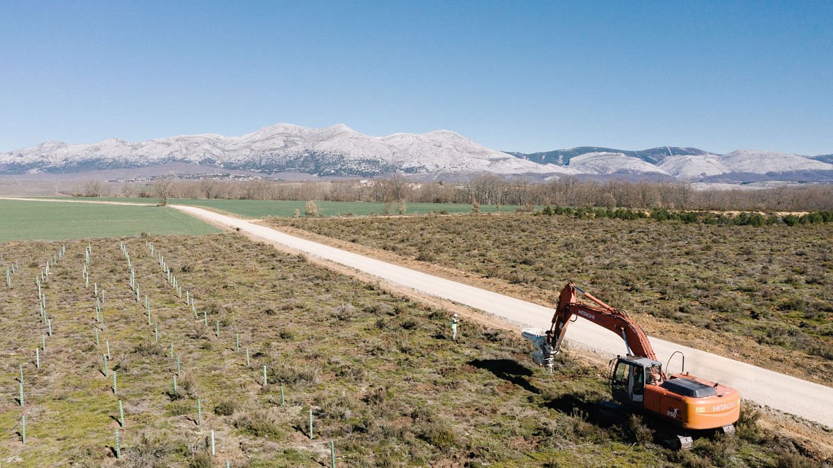Land Life Company, la compañía tecnológica dedicada a la reforestación forestal a gran escala con sede en Burgos, llevará a cabo esta temporada la repoblación de 15 nuevos bosques.