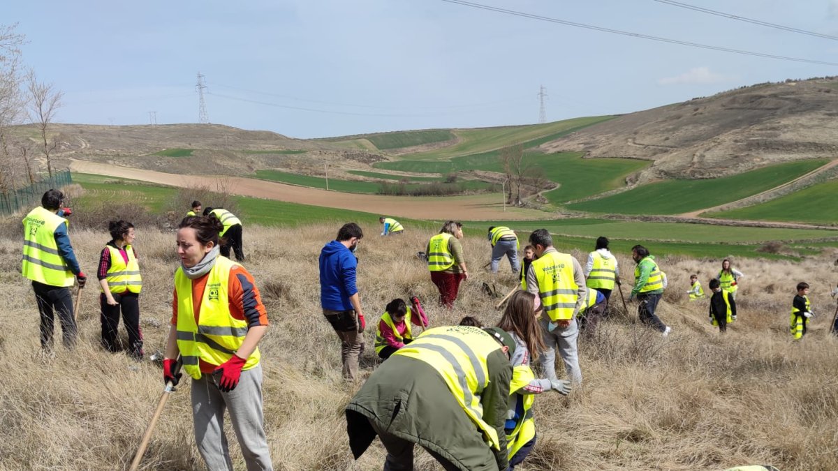 Varios voluntarios preparan el terreno para hacer la plantación. ECB