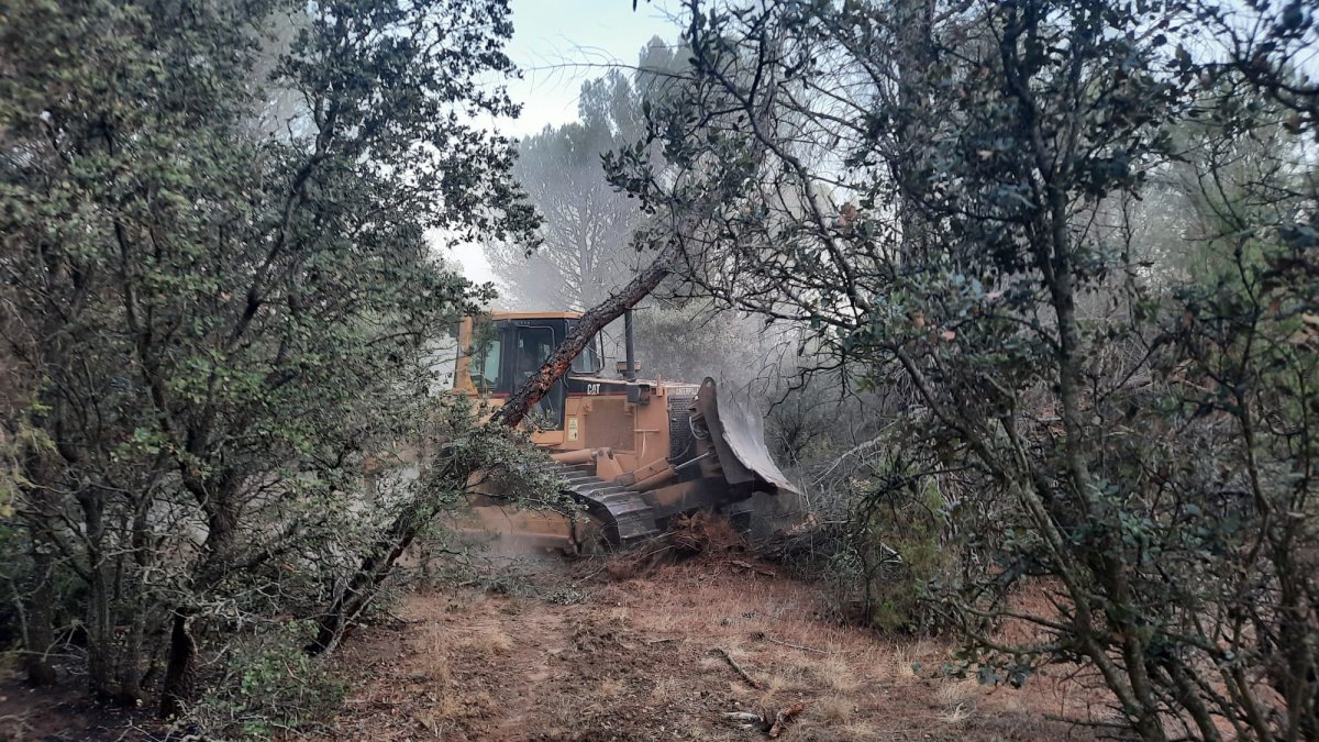 Ribera: El monte de Zazuar culpa a la Junta de Castilla y León por limitar  la prevención contra incendios