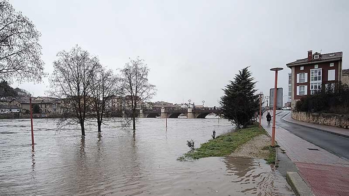 El desbordamiento del Ebro en Miranda la semana pasada impidió el acceso a zonas de paseo y calles de la ciudad.-G.R.D.A.
