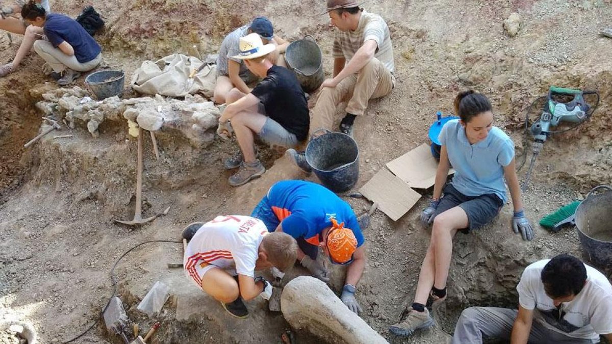 Un grupo de investigadores. en las excavaciones de Torrelara.-ECB