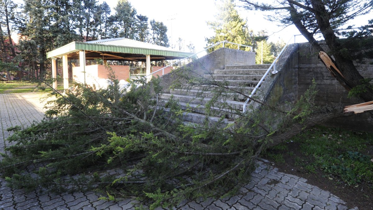 El Gobierno estima en más de 276.000 euros los daños por la borras 'Filomena'. RAÚL G. OCHOA