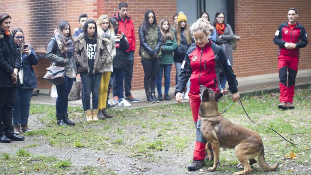 Los alumnos desplazados desde Madrid pudieron comprobar la interrelación de los perros con los miembros del GREM, relación imprescindible para lograr que el trabajo tenga éxito.-ISRAEL L. MURILLO