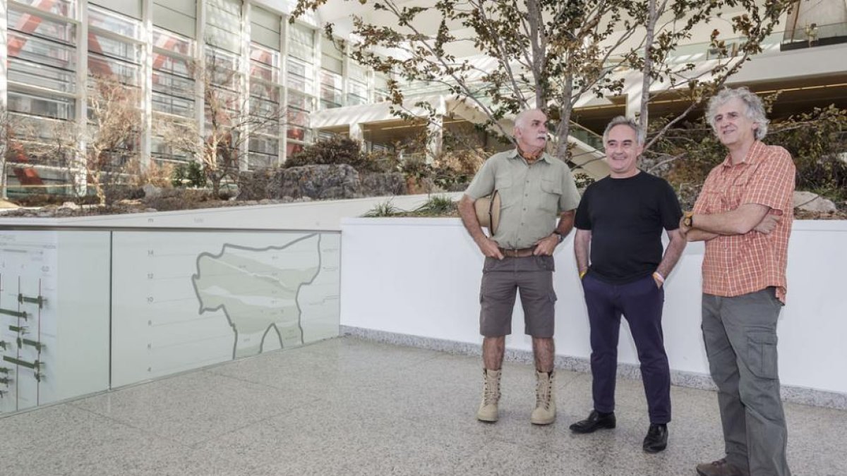 Ferrán Adriá con Eudald Carbonell y Juan Luis Arsuaga, durante su visita al Museo de la Evolución.-SANTI OTERO
