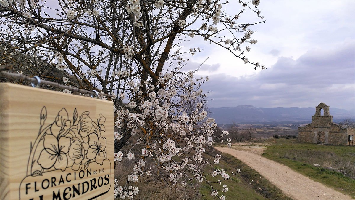 La ruta de los almendros en flor realiza un recorrido de 4 kilómetros.  / ECB