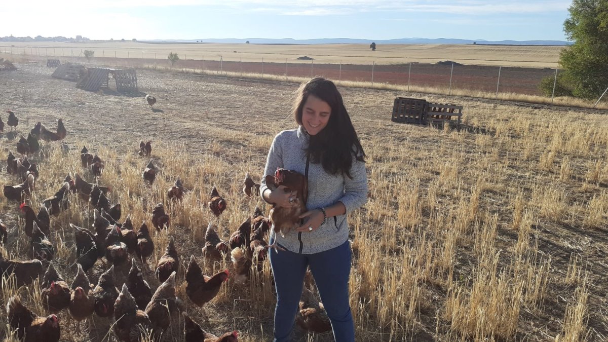 Elena González tiene una granja con 800 gallinas camperas en Campillo de Aranda