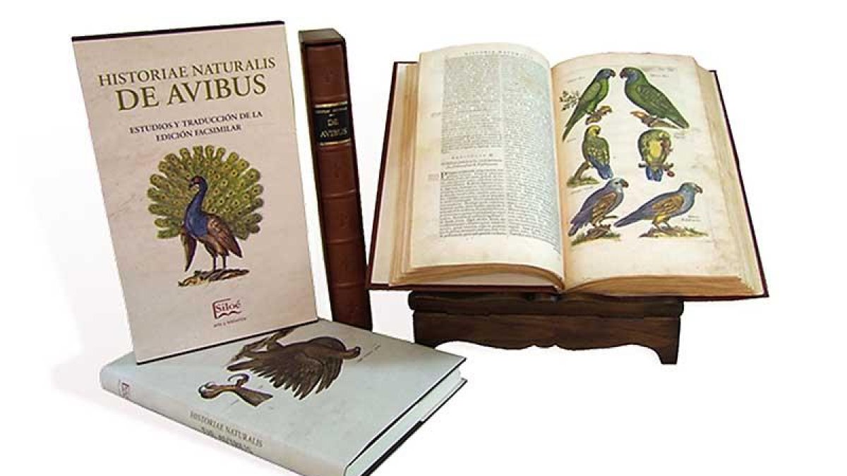 'Historia Naturalis de Arboribus et Fructicibus'.-