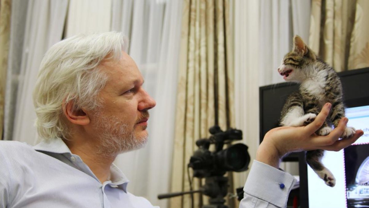 Julian Assange, con su nuevo compañero en la Embajada de Ecuador en Londres.-HANDOUT / REUTERS