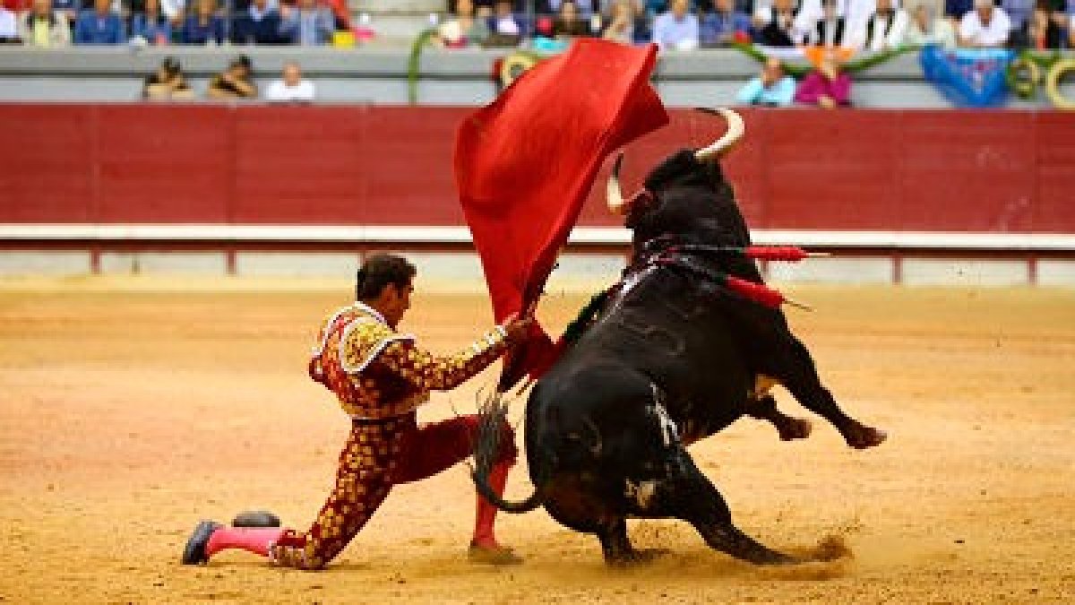 Corrida de toros en el Coliseum de Burgos en una imagen de archivo. ECB