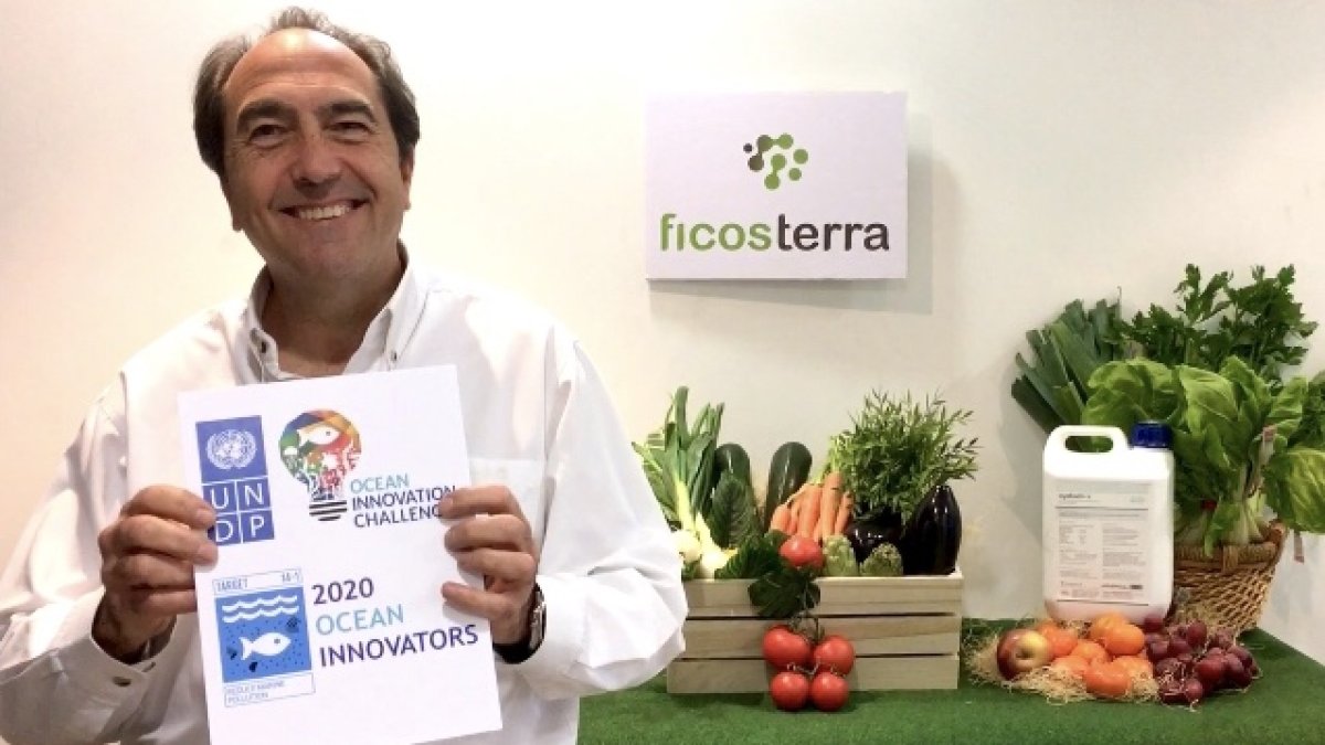 Luis Lombana, director general de Ficosterra. ICAL
