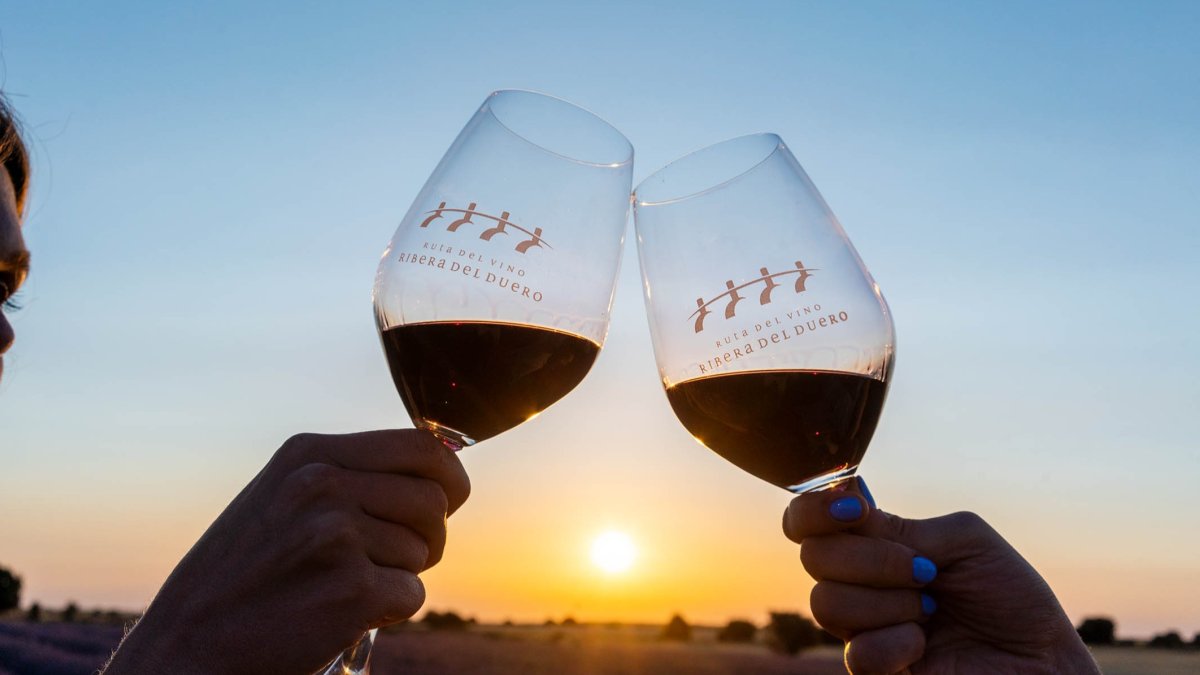 La Ribera del Duero es una de las zonas vinícolas de mayor prestigio