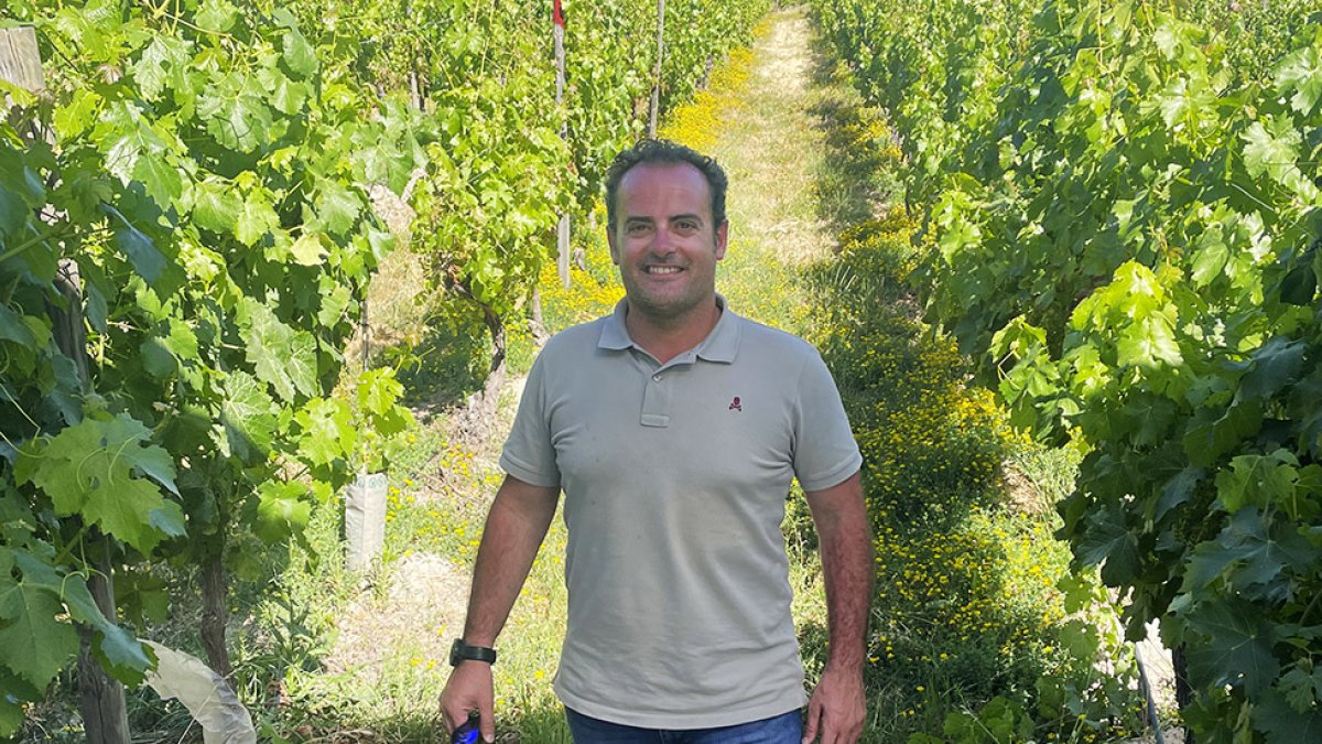 Gerardo Brox acumula 20 años de experiencia en los viñedos de Ribera delDuero. E. M.