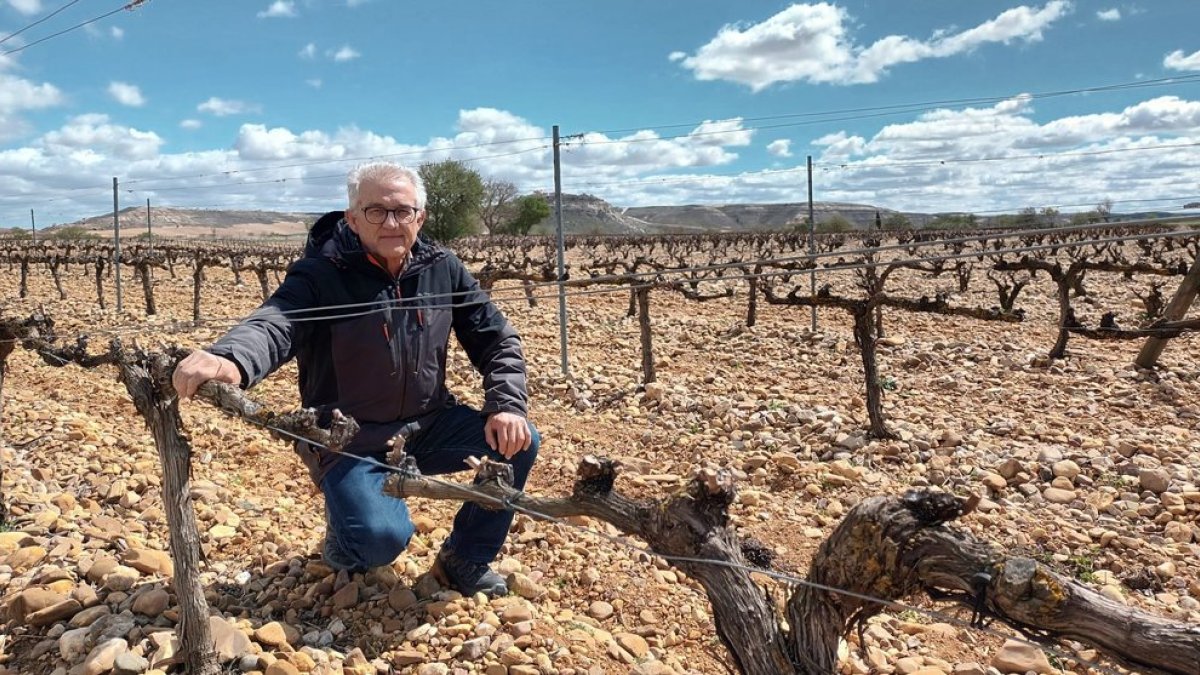 Juan Lázaro es viticultor en la Ribera del Duero.