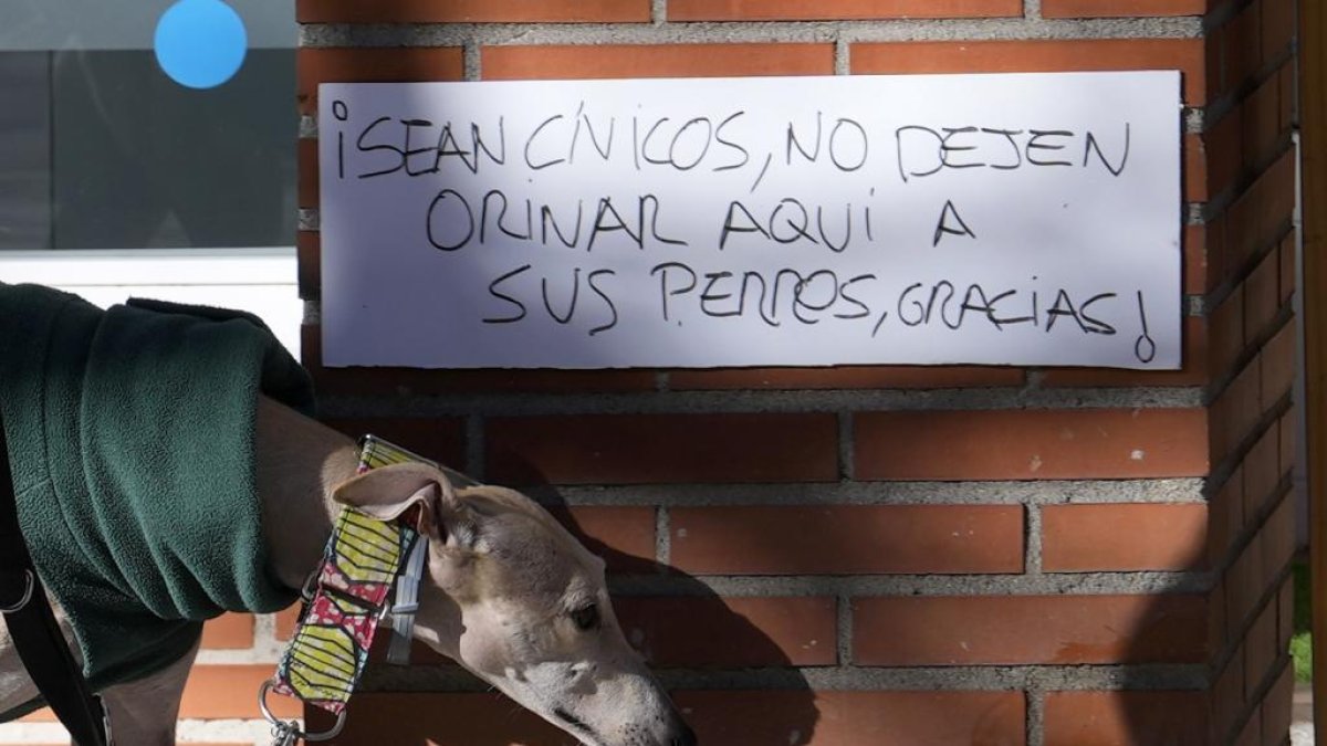 Un cartel de prohibido orinar perros.