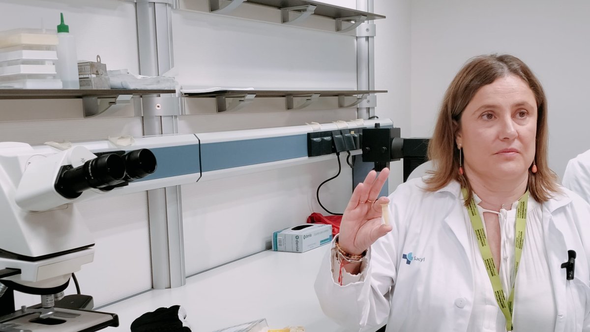 La directora del estudio, María Rodríguez, con un cultivo de células madre.