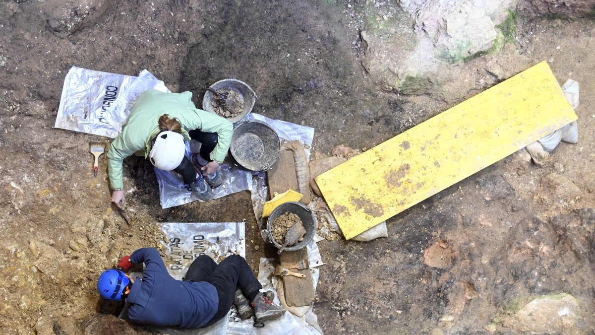 Trabajos de limpieza y adecuación de la superficie de excavación en Sima del Elefante, uno de los yacimientos más antiguos de  Atapuerca.