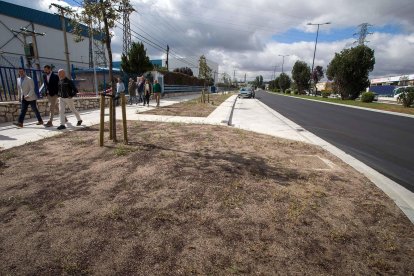 Zona ajardinada en la calle Alcalde Martín Cobos del polígono Burgos Este, tras su reforma.