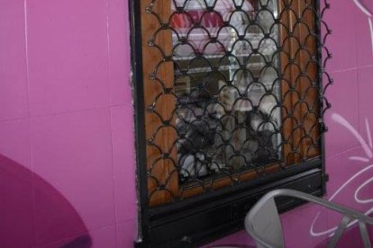 Verja forzada de un bar de Miranda tras un intento de robo.