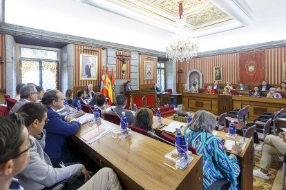 Instante de un Pleno municipal. SANTI OTERO