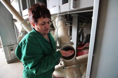 Julia Quintana manipulando la máquina seleccionadora de semillas en su nave de Cilleruelo.-E.M.