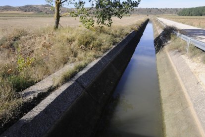 La Comunidad de Regantes Canal de Aranda llevan en guerra desde 2017