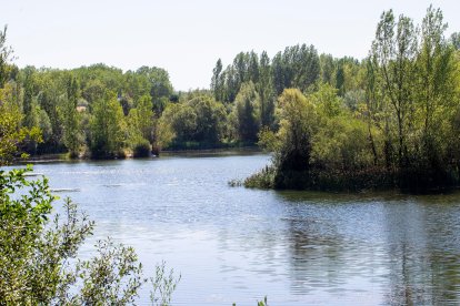 Imagen del Humedal de Fuentes Blancas. SANTI OTERO