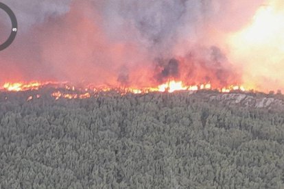 <p> Incendio de Losacio en la zona de Ferreras de Abajo. - E. M. </p>