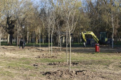 Imagen de reforestación en el Parral. RAÚL G. OCHOA