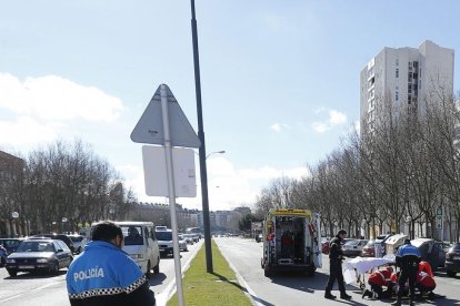 Un agente toma medidas en un paso de cebra de la ciudad.-RAÚL G. OCHOA