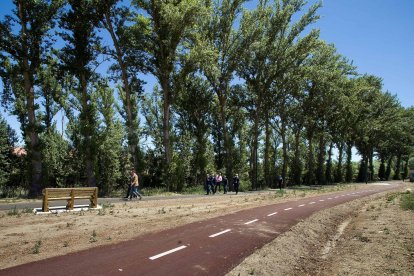 La ampliación del parque lineal del Vena, en su fase cuarta, es una de las últimas intervenciones medioambientales en esta zona. TOMÁS ALONSO