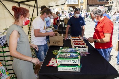 La plaza de San Juan acogió el mercado de la cereza y una demostración gastronómica. SANTI OTERO