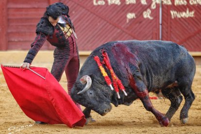 Morenito de Aranda, durante un festejo en Estepona. ARJONA