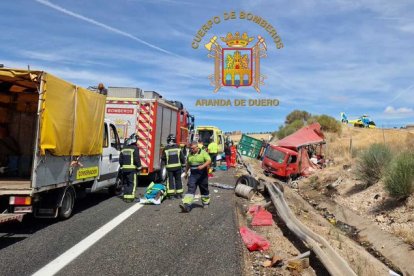 Los bomberos de Aranda acudieron a su auxilio