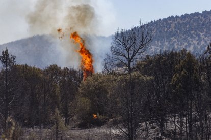 Las consecuencias del grave incendio de Quintanilla del Coco. FOTO: SANTI OTERO