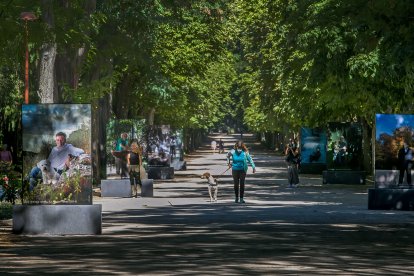 Las veinte imágenes se pueden contemplar en el Paseo de la Isla.  TOMÁS ALONSO