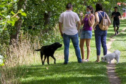 Varias personas pasean a sus perros por la orilla del río en la capital burgalesa. SANTI OTERO